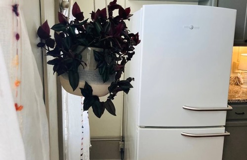 Erwin Apartment | Historic Apartment with Unique Details - Guest Rated 10/10