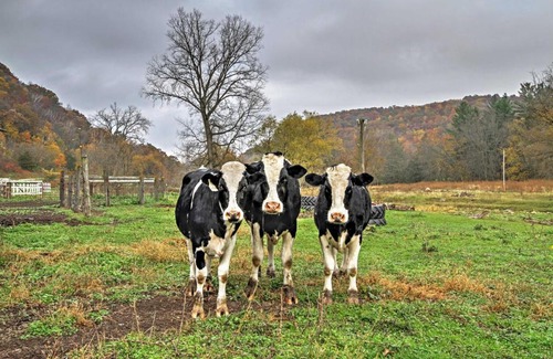 Winona House | Renovated Winona Barn: Decks, Pets Welcome on 80 Acres!