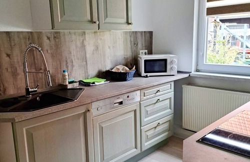 Schierke Apartment | Renovated Apartment in Schierke: Family & Pet-Friendly Stay