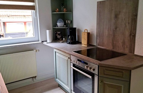 Schierke Apartment | Renovated Apartment in Schierke: Family & Pet-Friendly Stay