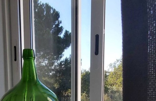 Silves House | Rental house with private pool in the orange trees.