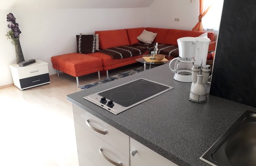 Stanz Im Murztal Apartment | Stylish Rental Apartment with Private Bathroom & Breakfast