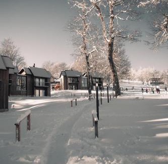 Lanin National Park House | Experience the Beauty of San Martin de los Andes at RentUp