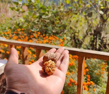 Kasol House | Pet-Friendly Retreat at Renuka Homestay and Cafe