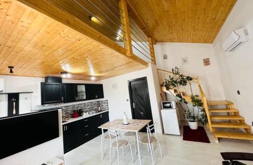 Livezeni Apartment | Reny's Studio Apartments: Oceanfront Getaway, Guest Rated 9.8