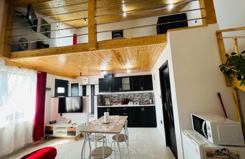 Livezeni Apartment | Reny's Studio Apartments: Oceanfront Getaway, Guest Rated 9.8