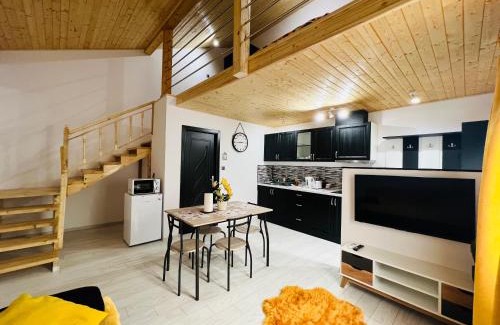 Livezeni Apartment | Reny's Studio Apartments: Oceanfront Getaway, Guest Rated 9.8