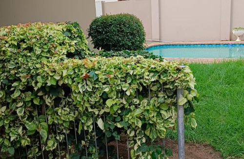 King William's Town House | Comfortable Repose Guest House with Pool & Family Amenities