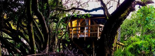 Constitucion Cabin | Discover Reserva los Bollenes: Family-Friendly Retreat