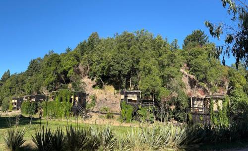 Constitucion Cabin | Discover Reserva los Bollenes: Family-Friendly Retreat