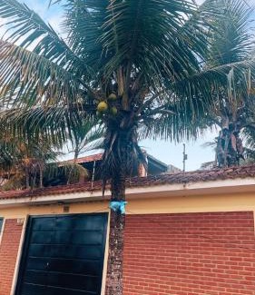 Campos Eliseos House | Residência - Vila Verde Mar