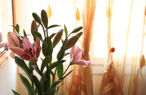 Mogliano Veneto Apartment | Family-Friendly Residence Al Bacareto with High Ratings