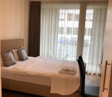 Albisrieden Apartment | Comfortable Residence Appartements with Family-Friendly Amenities