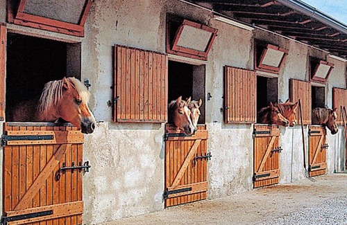 Campi Apartment | Family-Friendly Residence Campi Voltino di Tremosine Getaway