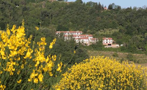 Urbino Apartment | Pet-Friendly Residence Città Ideale with Breakfast & Kitchen