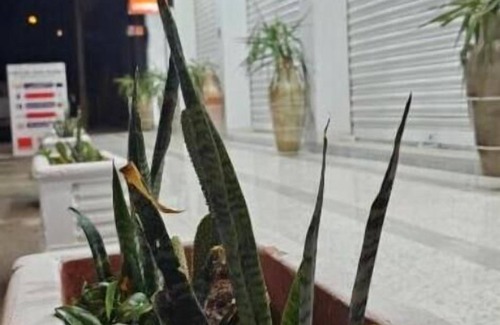 Tataouine Apartment | Pet-Friendly Residence Dehmani: Family-Approved Getaway