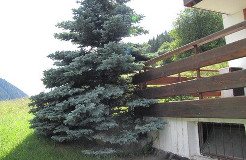 Campitello di Fassa Apartment | Discover Residence Edelweiss: Family & Pet-Friendly Stay
