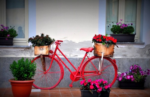 Venaria Reale House | Pet-Friendly Residence La Pera Bugiarda with Spa & Dining