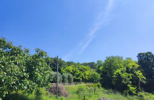 Galzignano Terme Apartment | Budget-Friendly Stay at Residence Magnolia - Pet Friendly!