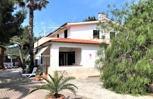 Defensola Apartment | Pet-Friendly Residence Palm Garden with Pool & Kitchen