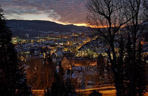 Albstadt Apartment | Pet-Friendly Retreat at Residenz am Schloßberg