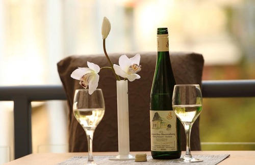 Mitte Apartment | Discover Residenz Hotel am Zuckerberg - Pet Friendly Escape