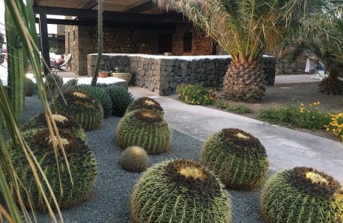 Pantelleria House | Experience Residenza delle Palme: 4-Star Pet-Friendly Oasis