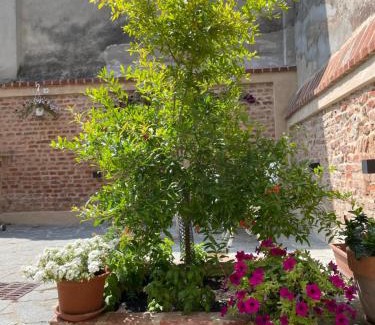 Casale Monferrato Apartment | Guest Rated: Residenza Nikol with Breakfast Included