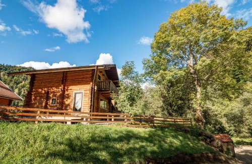 Zarnesti Ski Chalet | Pet-Friendly Resort 7 Crai - Cabana Calinet with Breakfast