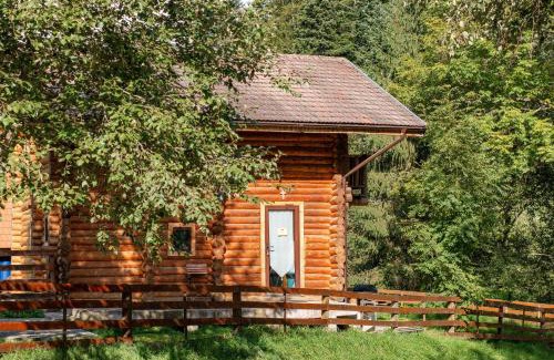 Zarnesti Ski Chalet | Pet-Friendly Resort 7 Crai - Cabana Calinet with Breakfast