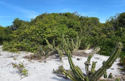 Arraial do Cabo Apartment | Resort - Arraial do Cabo - Golden Lake