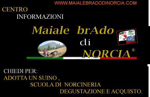 Norcia House | Experience Resort la dimora Maiale brado di Norcia Today