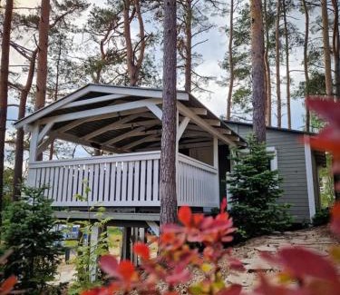Wdzydze Kiszewskie House | Idyllic Rest House WDZYDZE by the Lake - Pet & Child Friendly