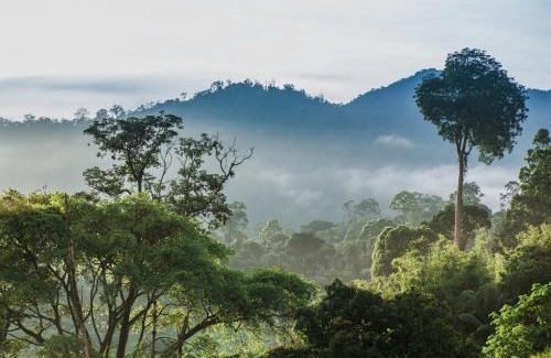 Janda Baik Villa | Relax in Nature at Rest Pause Rainforest Retreat