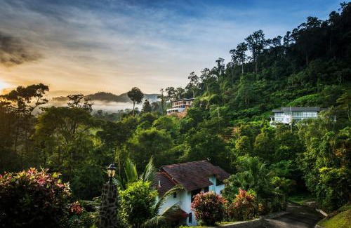Janda Baik Villa | Relax in Nature at Rest Pause Rainforest Retreat