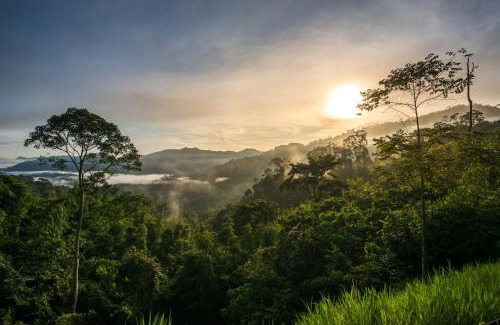 Janda Baik Villa | Relax in Nature at Rest Pause Rainforest Retreat