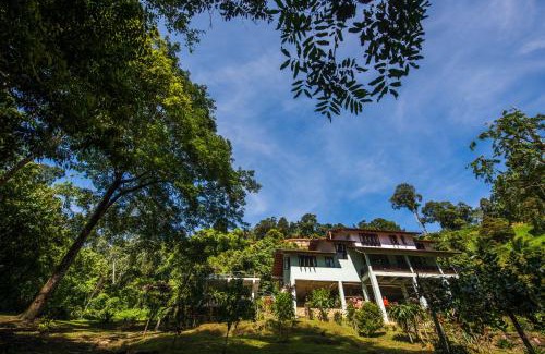 Janda Baik Villa | Relax in Nature at Rest Pause Rainforest Retreat