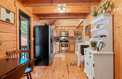 Bostic Cabin | Relax at Rest S'more! Cabin with Spa near Lake Lure