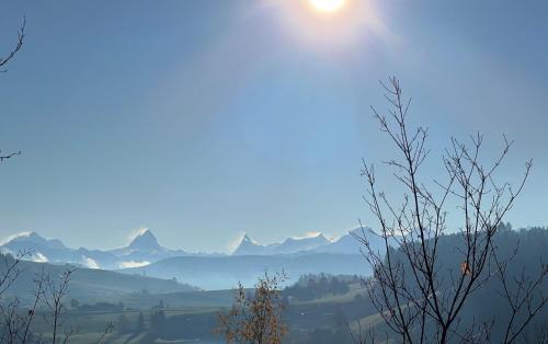 Walkringen Hotel | Pet-Friendly Retreat at Restaurant Hotel Rüttihubelbad