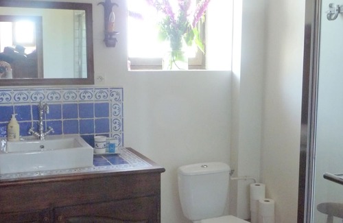 Roeze-sur-Sarthe House | Restored family manor - Great Room and its private bathroom