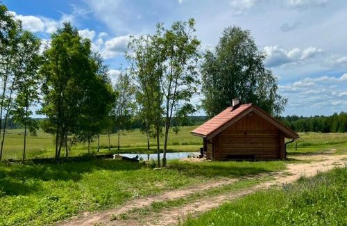 Sangaste Ski Chalet | Top-Rated Restu Forest Saunahouse: Pet and Child Friendly
