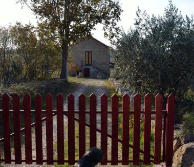 Seia House | Relax at Retiro da Lameira: Pet Friendly & Child Welcome