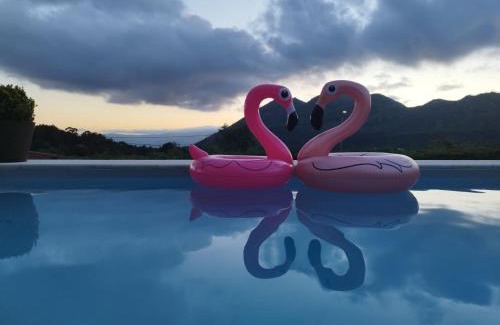Mondim de Basto House | Oceanfront Retreat at Retiro do Mestre - Pet Friendly Stay
