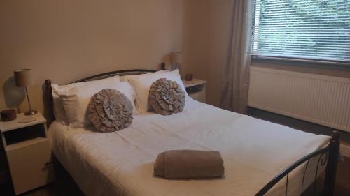Listowel House | Oceanfront Retreat by the Feale - Guest Rated 9.1/10