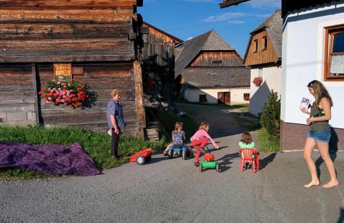 Sankt Peter am Kammersberg House | Pet and Child Friendly Retreat at Rettlhof with High Ratings