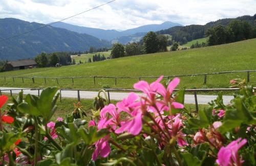 Sankt Peter am Kammersberg House | Pet and Child Friendly Retreat at Rettlhof with High Ratings