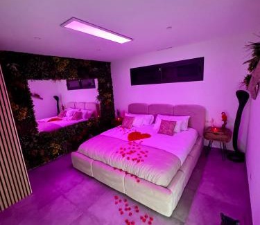 Les Mages Bed & Breakfast | Discover Oceanfront Luxury at Chambre d'hôtes Rêve d'Amazonie