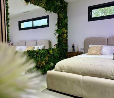 Les Mages Bed & Breakfast | Discover Oceanfront Luxury at Chambre d'hôtes Rêve d'Amazonie