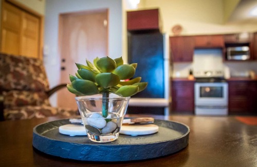 Revelstoke Condo | Exceptional Stay at Revelstoke - Give Something Back Retreat
