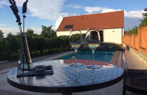 Horni Vestonice Apartment | Unforgettable Stay at Rezidence Věstonice with Ocean Views